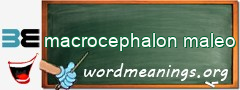 WordMeaning blackboard for macrocephalon maleo